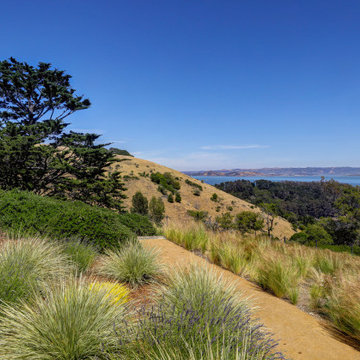 Tiburon Straits View Estate