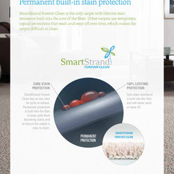 Mohawk SmartStrand Carpet Book - Products