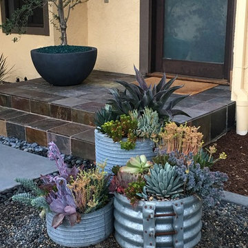 Color in Marin