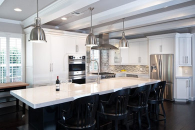 Kitchen - contemporary kitchen idea in Orlando