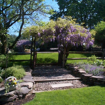 Ornamental Spring Blossoms