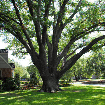 Berkeley Fort Worth, Colonial