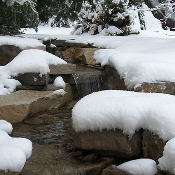 Water Features & Spas