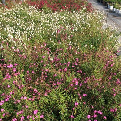 Inventory Samples - Gardening And Lawn Care