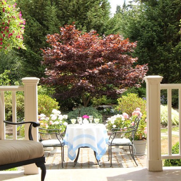 View from a dining room