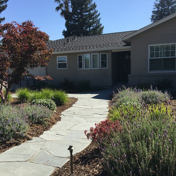 Los Altos No Lawn, Low Water