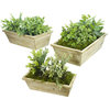 Set Of 4 Contemporary Liner Square Wood Pot Planter, White