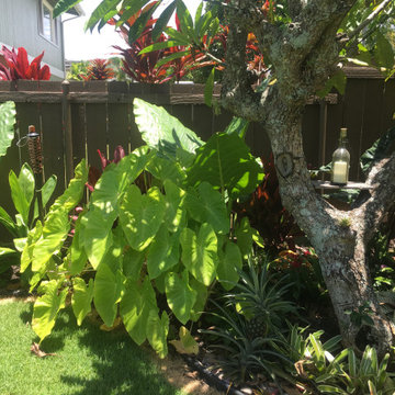 Outdoor Living & Landscaping for Party