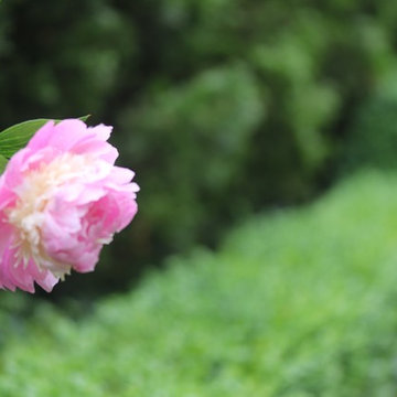 Rosebrook Garden 2017 Garden Tour