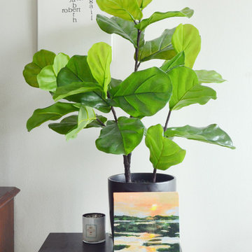 My Houzz: Collected Charm in Downtown Providence