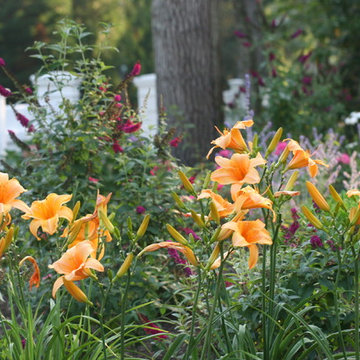 Osterville, MA