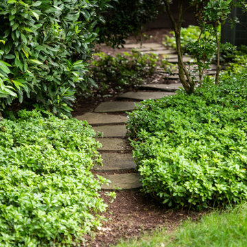 Natural Stepping Stone Path