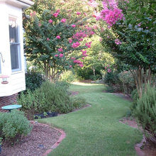 backyard landscape