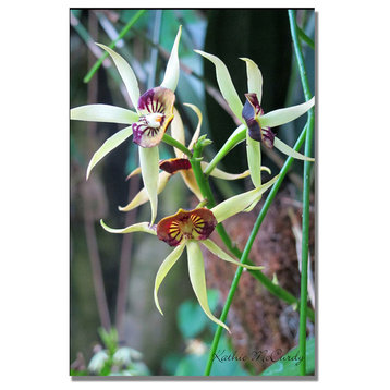 'Orchids' Canvas Art by Kathie McCurdy
