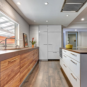 Arden Park Mid Century Modern