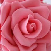 Darlene Thomas's photo