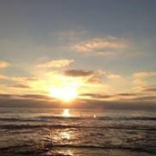 Lesli Bruce's photo