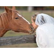 Christy Levari's photo