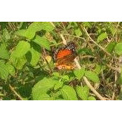 Mary Waye's photo