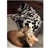 Susan Riley's photo
