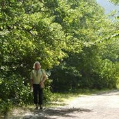 Foto von Bobbi Bilger