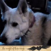 Becky Brown's photo