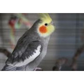 Bonnie Weir's photo