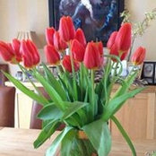 Helen Loo's photo