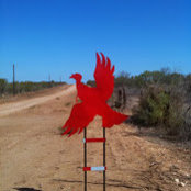 Marian Oppenheimer's photo