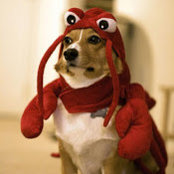 BRYAN HAITHCOAT's photo
