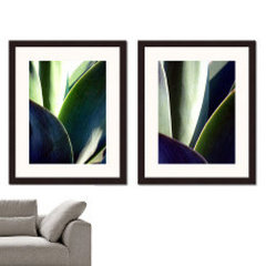 AMBIENCE GALLERY