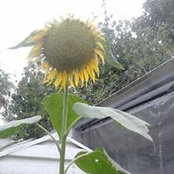 Christine Liubertas's photo