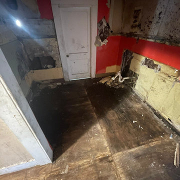 Termite Damage Is at it Again