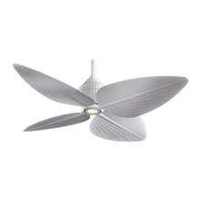 Ceiling Fans