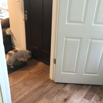 Bathroom & Fireplace Remodel