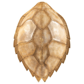 Faux Hawksbill Turtle Shell