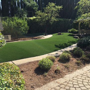 Traditional Backyard Renovation