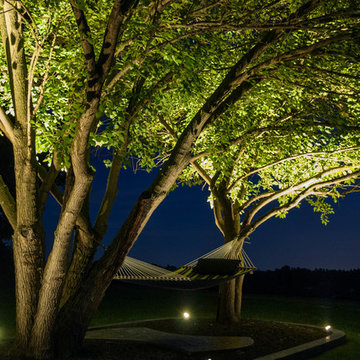 Landscape Features