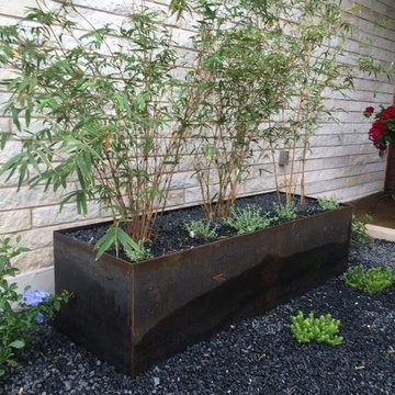 Contemporary Landscaping in Austin, TX