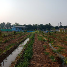 my farmhouse