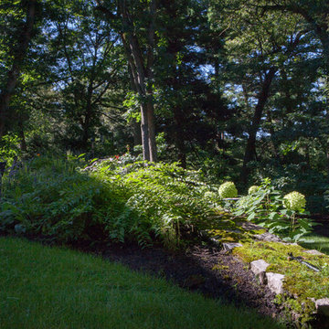 Complete Yard Renovation Newton, MA