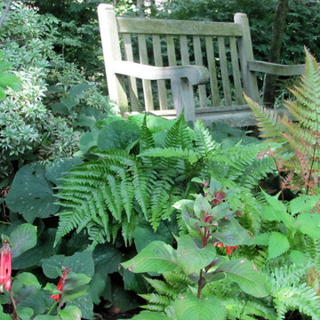 Sensational Shade Gardens