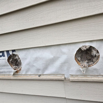 Home Insulation