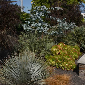 Waterfront Landscaping in Alameda
