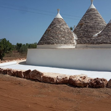 Trullo, oliveto e poesia | 1 ettaro work in progress