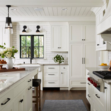 Kitchen Remodel in Edina