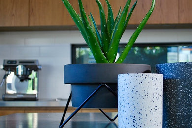 Terrazzo Collection - Designer Potted Faux Plants