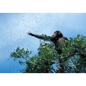 Jacob Purkins's photo
