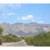 Catherine Belden's photo