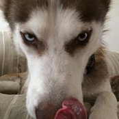 Wendy Arnold's photo